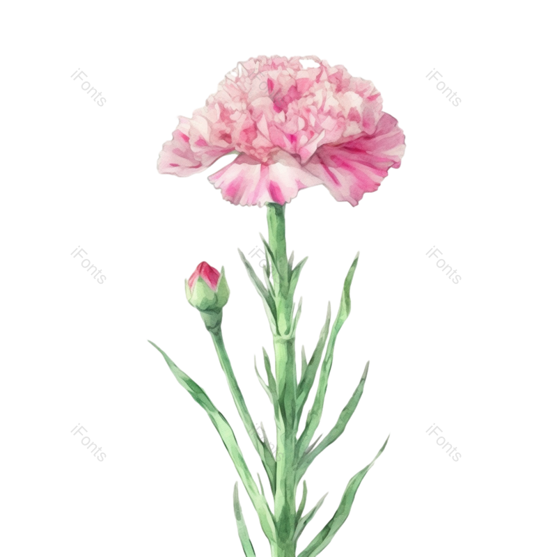 插画图片,元素,PNG,免抠素材